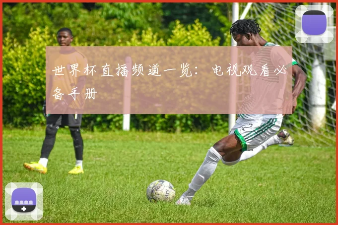 世界杯直播频道一览：电视观看必备手册