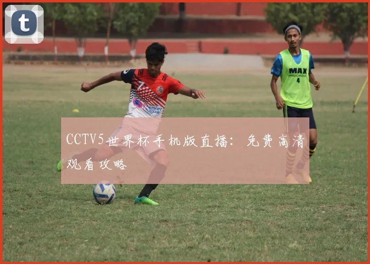 CCTV5世界杯手机版直播：免费高清观看攻略