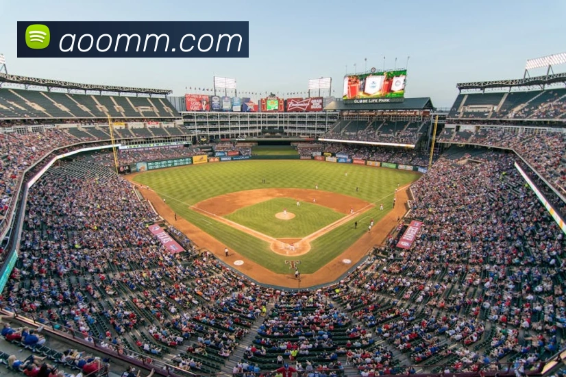 足球直播服务体系