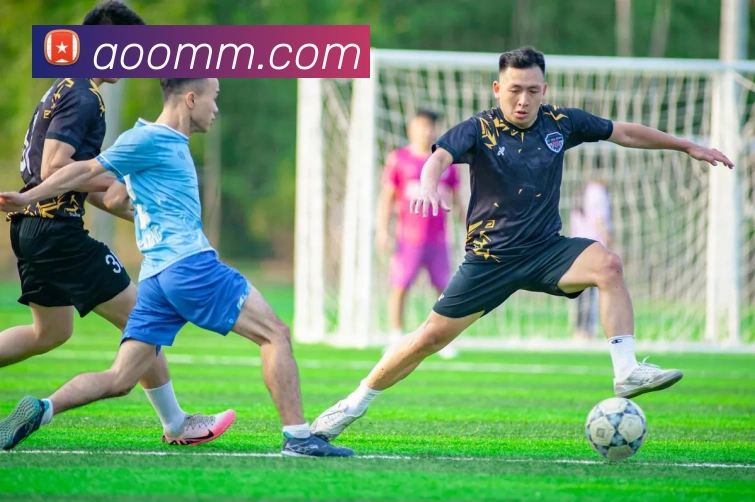 多媒体互动体验